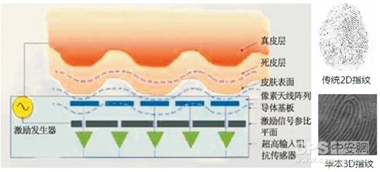 华本3D指纹